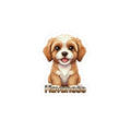 Havanese dog puppy vinyl decal sticker with brown and white fur