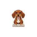 Dachshund dog puppy vinyl decal sticker with brown fur and white chest markings