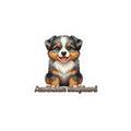 Australian Shepherd puppy vinyl decal sticker with blue eyes and brown and black fur