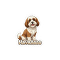 Havanese dog vinyl decal sticker featuring a brown and white puppy sitting above the word Havanese